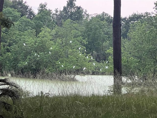 30403 Walnut Creek Road, Magnolia, TX 77355