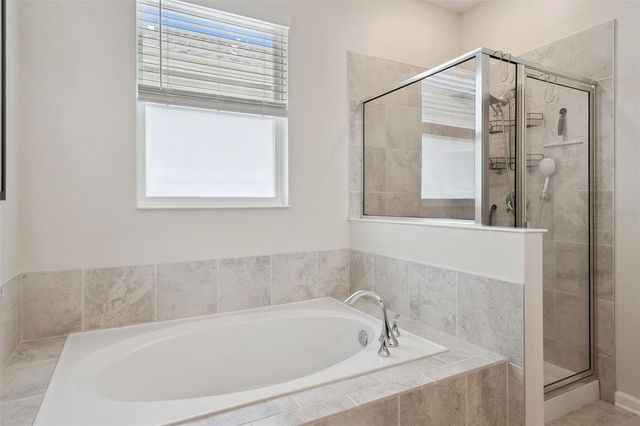 897 CARMILLION COURT, Groveland, FL 34736