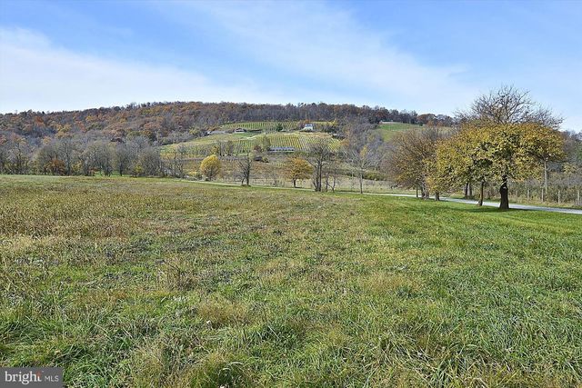 598 TIMBER LN, Bluemont, VA 20135