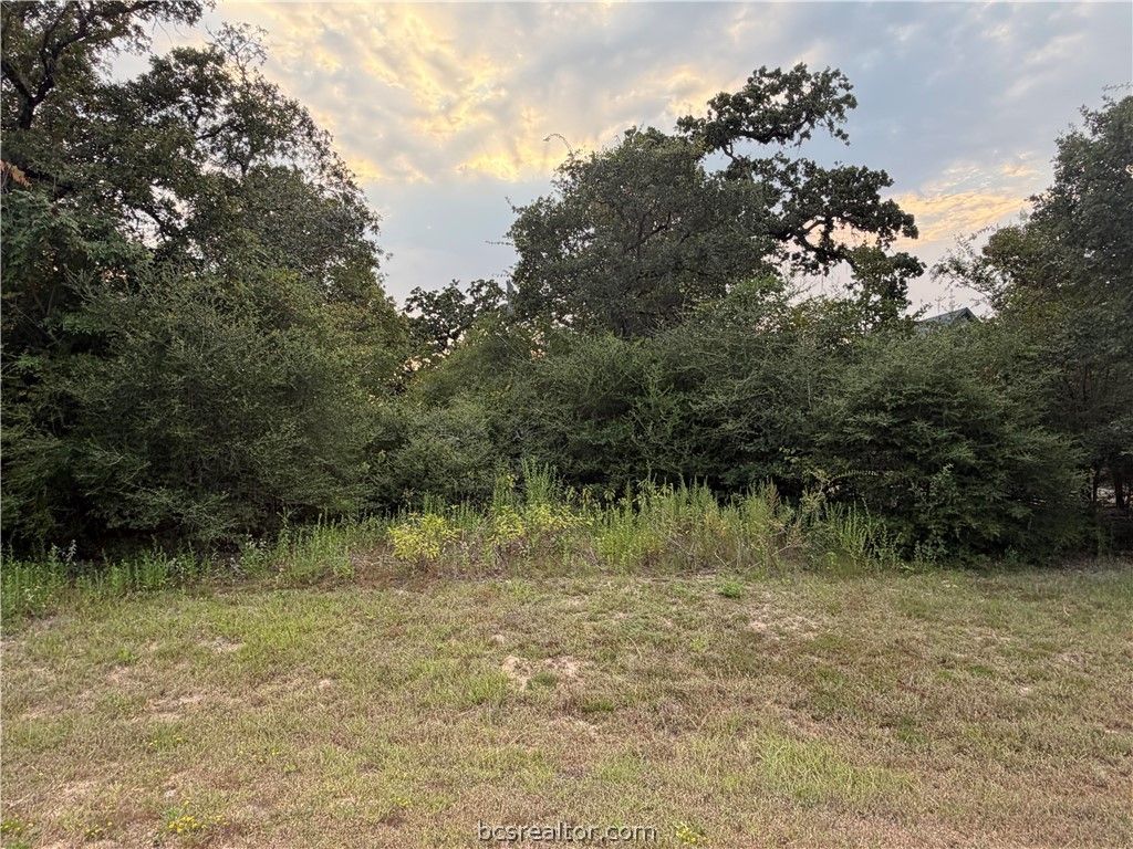 9467 Windsor Avenue, Iola, TX 77861 — photo 2