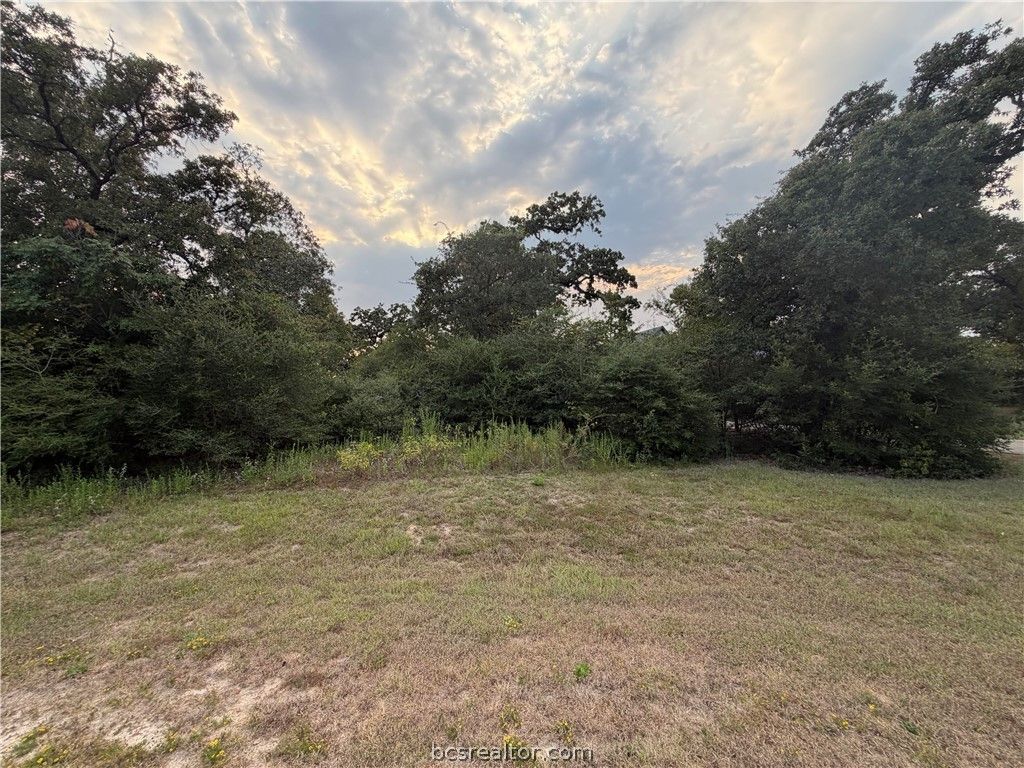 9467 Windsor Avenue, Iola, TX 77861 — photo 3