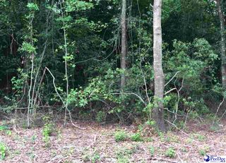 424 E Siesta Dr, Florence, SC 29505