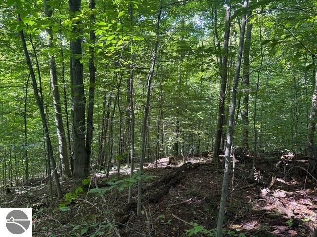 005 Kettle Way, Empire, MI 49630