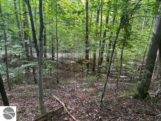 005 Kettle Way, Empire, MI 49630