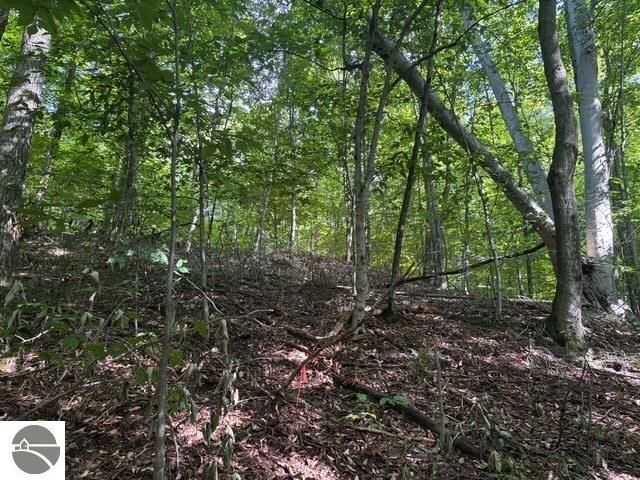 005 Kettle Way, Empire, MI 49630