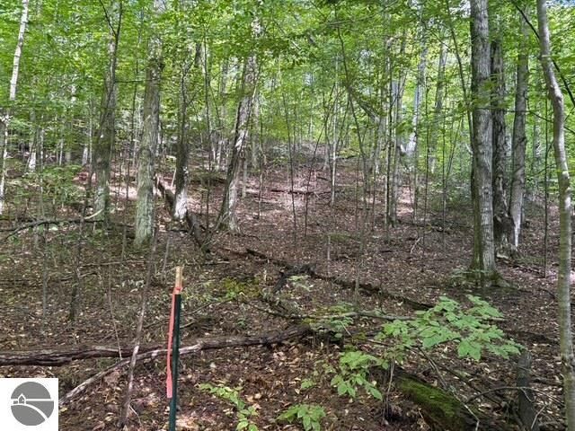 005 Kettle Way, Empire, MI 49630