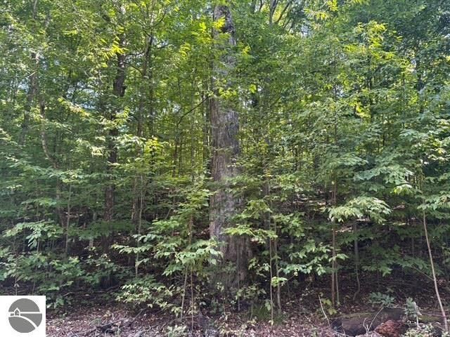 005 Kettle Way, Empire, MI 49630