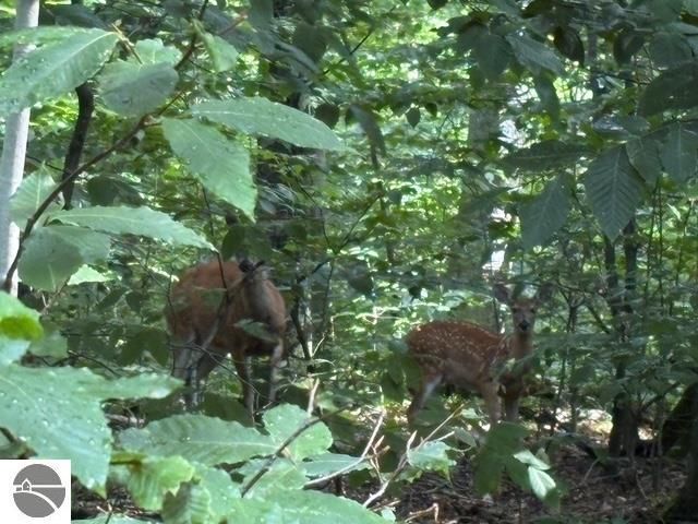 005 Kettle Way, Empire, MI 49630