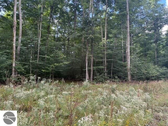 005 Kettle Way, Empire, MI 49630