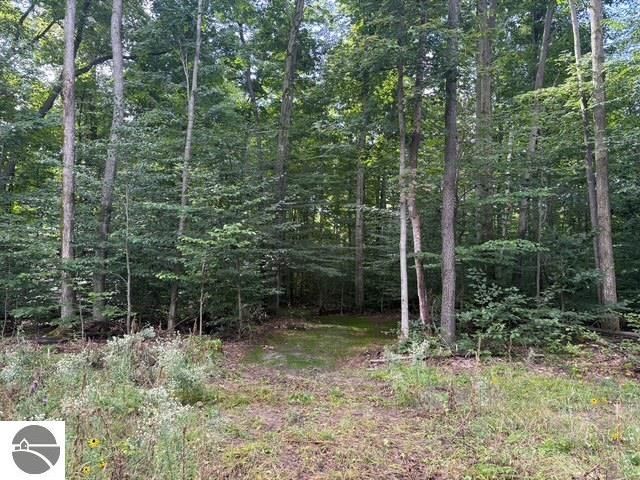 005 Kettle Way, Empire, MI 49630