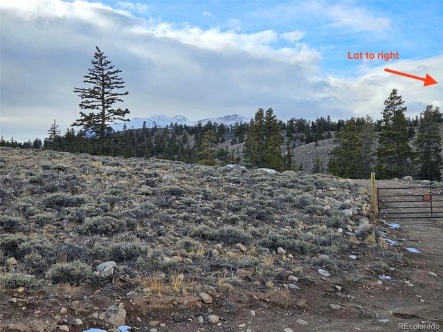 Parcel 11, Tract 11, Twin Lakes, CO 81251