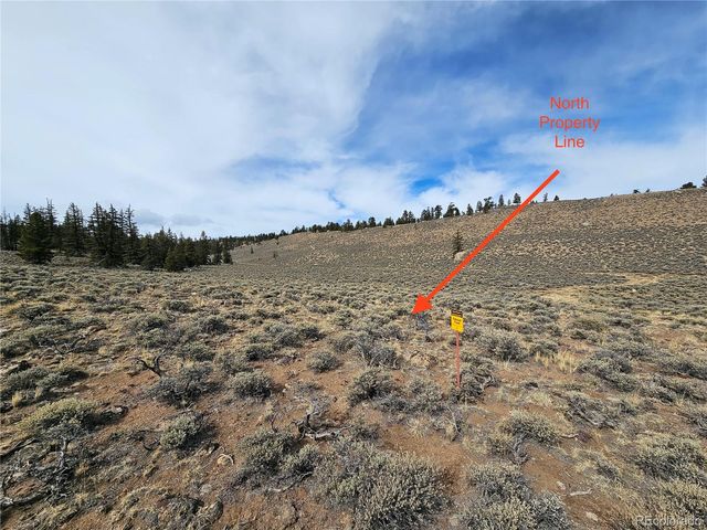 Parcel 11, Tract 11, Twin Lakes, CO 81251