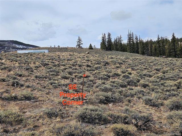 Parcel 11, Tract 11, Twin Lakes, CO 81251