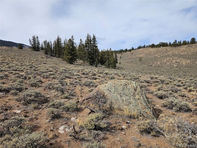 Parcel 11, Tract 11, Twin Lakes, CO 81251