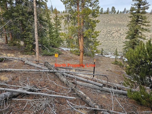 Parcel 11, Tract 11, Twin Lakes, CO 81251