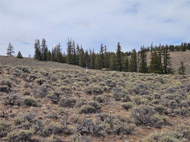 Parcel 11, Tract 11, Twin Lakes, CO 81251