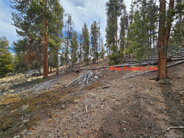 Parcel 11, Tract 11, Twin Lakes, CO 81251