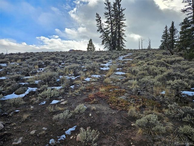 Parcel 11, Tract 11, Twin Lakes, CO 81251