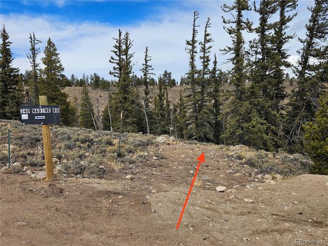 Parcel 11, Tract 11, Twin Lakes, CO 81251