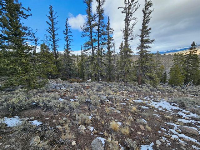 Parcel 11, Tract 11, Twin Lakes, CO 81251