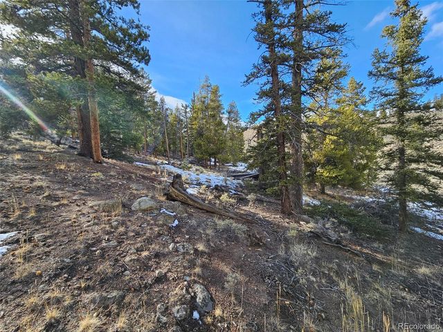 Parcel 11, Tract 11, Twin Lakes, CO 81251