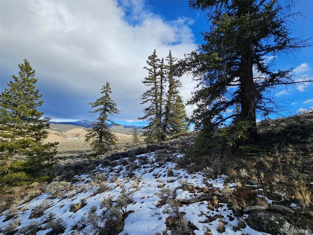 Parcel 11, Tract 11, Twin Lakes, CO 81251