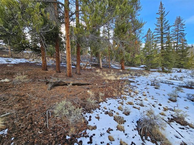 Parcel 11, Tract 11, Twin Lakes, CO 81251