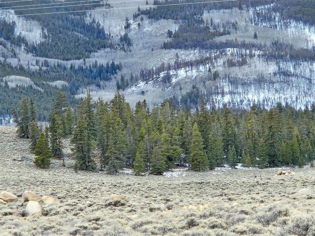 Parcel 11, Tract 11, Twin Lakes, CO 81251