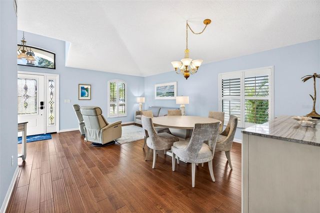 19145 CYPRESS GREEN DRIVE, Lutz, FL 33558