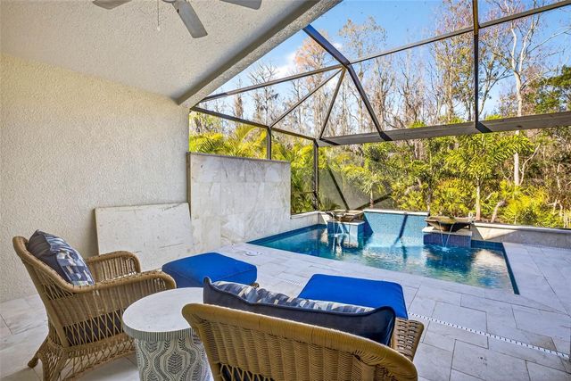 19145 CYPRESS GREEN DRIVE, Lutz, FL 33558