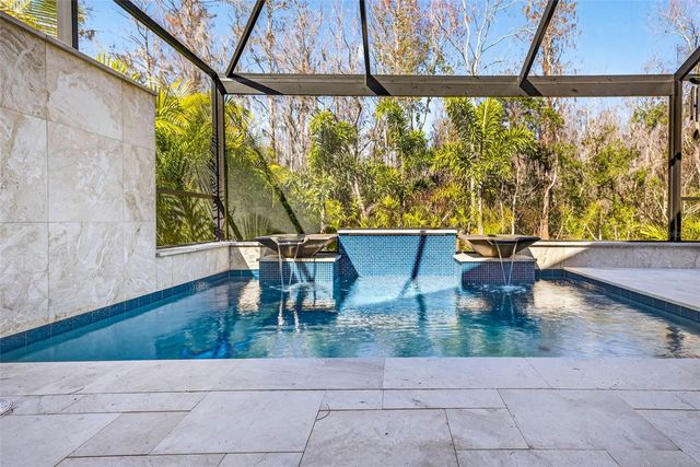 19145 CYPRESS GREEN DRIVE, Lutz, FL 33558