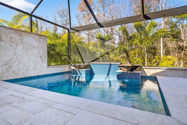 19145 CYPRESS GREEN DRIVE, Lutz, FL 33558