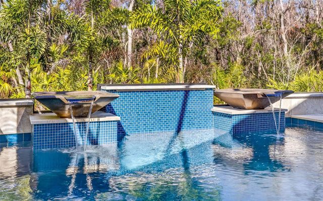 19145 CYPRESS GREEN DRIVE, Lutz, FL 33558