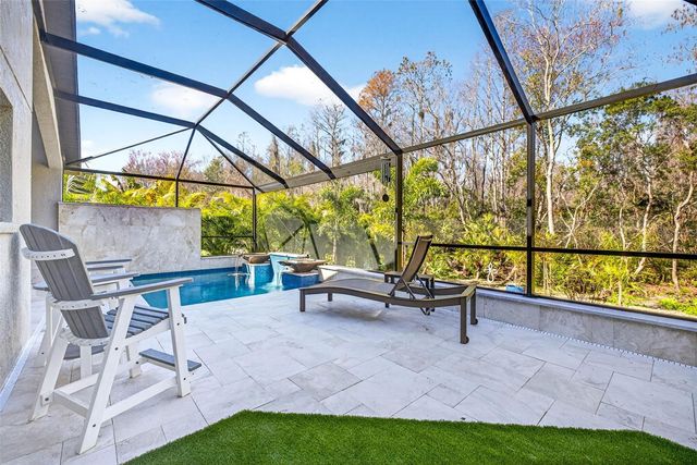 19145 CYPRESS GREEN DRIVE, Lutz, FL 33558