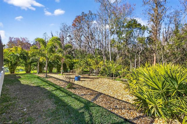 19145 CYPRESS GREEN DRIVE, Lutz, FL 33558