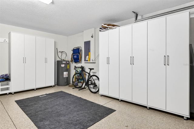 19145 CYPRESS GREEN DRIVE, Lutz, FL 33558