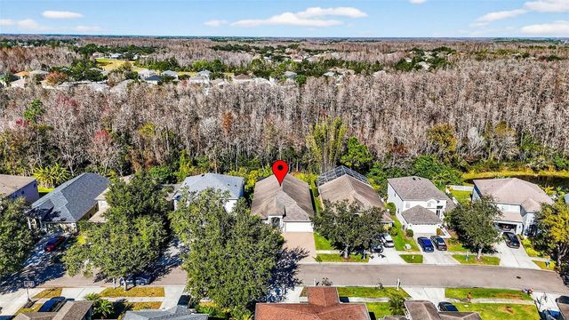 19145 CYPRESS GREEN DRIVE, Lutz, FL 33558