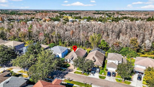 19145 CYPRESS GREEN DRIVE, Lutz, FL 33558