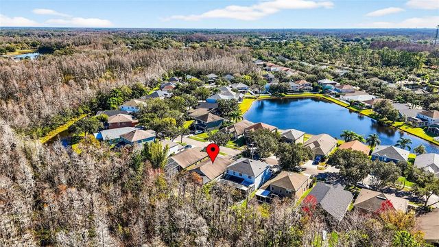 19145 CYPRESS GREEN DRIVE, Lutz, FL 33558