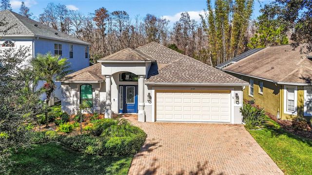 19145 CYPRESS GREEN DRIVE, Lutz, FL 33558