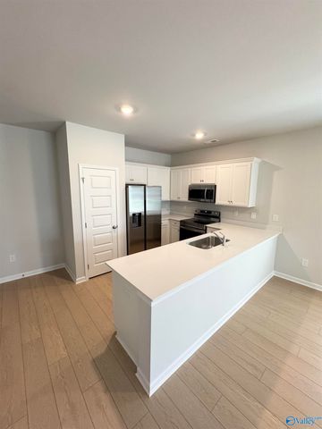 22733 Dashwood Lane, Athens, AL 35613