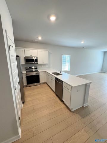 22733 Dashwood Lane, Athens, AL 35613