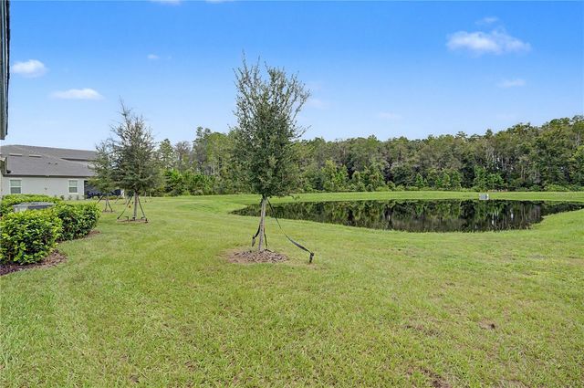 10906 RUSTIC EVE COURT, Land O Lakes, FL 34638