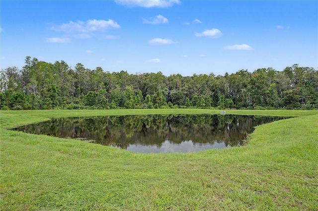 10906 RUSTIC EVE COURT, Land O Lakes, FL 34638