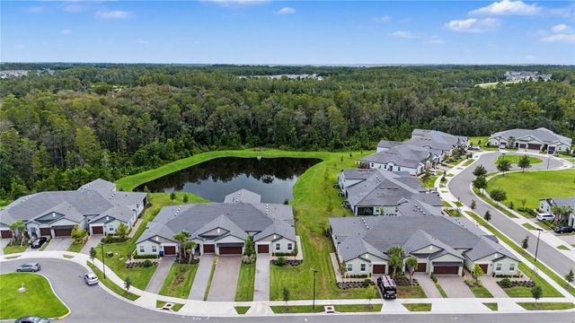 10906 RUSTIC EVE COURT, Land O Lakes, FL 34638