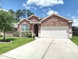 14210 Glacier Bay Court, Conroe, TX 77384