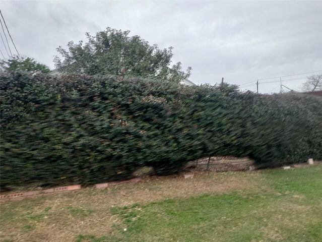 2816 Black Street, Houston, TX 77023