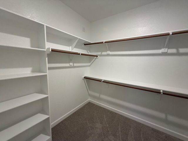 15185 Ty Marshall Ct, College Station, TX 77845