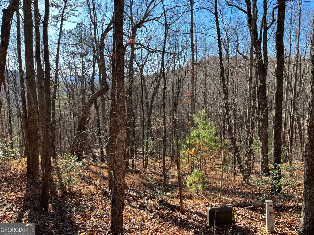 LOT #1 Forest Canopy Way, Clayton, GA 30525 — exterior