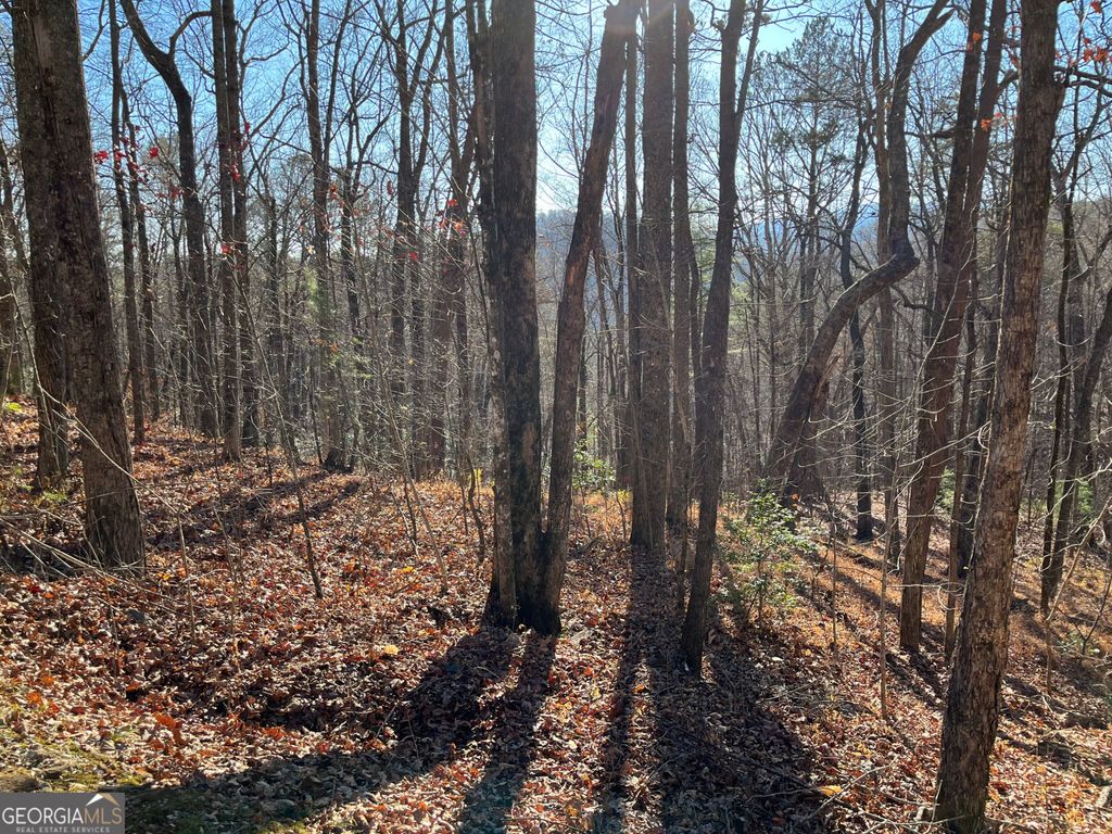 LOT #1 Forest Canopy Way, Clayton, GA 30525 — photo 4